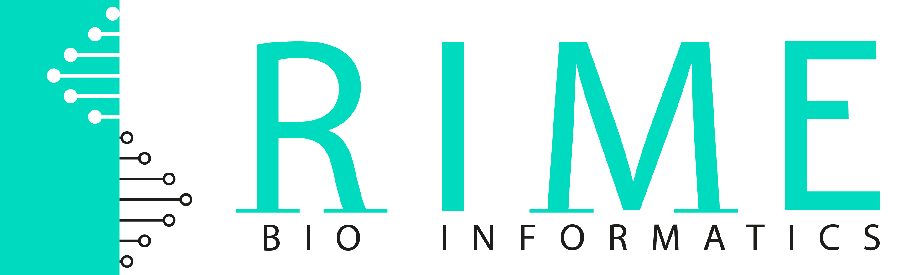 Bronze sponsor