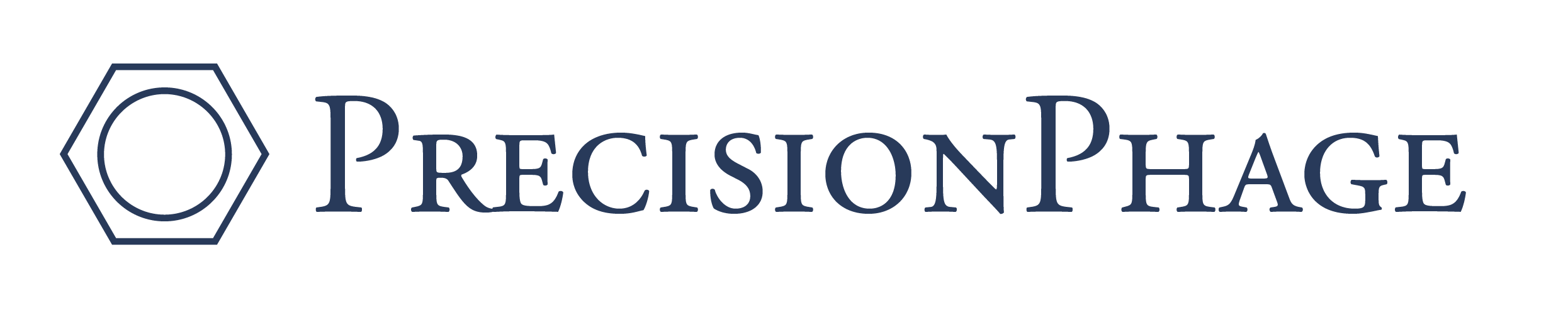 Silver sponsor